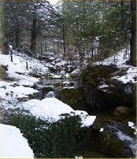 Best offers for Casa Pili Manzanera